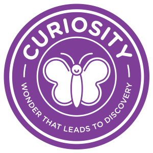 curiosityimg